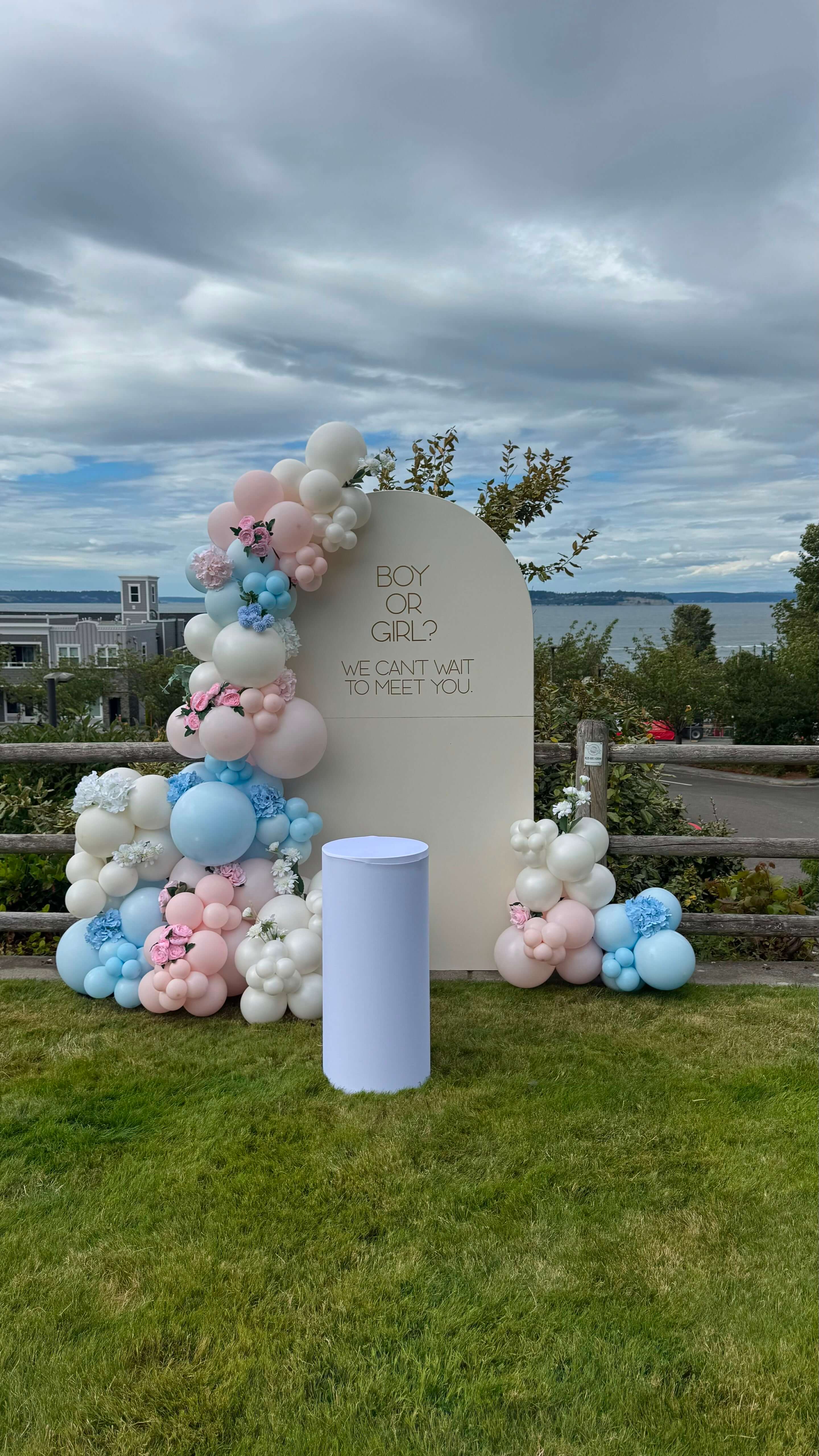 Outdoor gender reveal backdrop in pink, blue and white balloons with florals reading 'Boy or Girl? We can't wait to meet you' overlooking the water