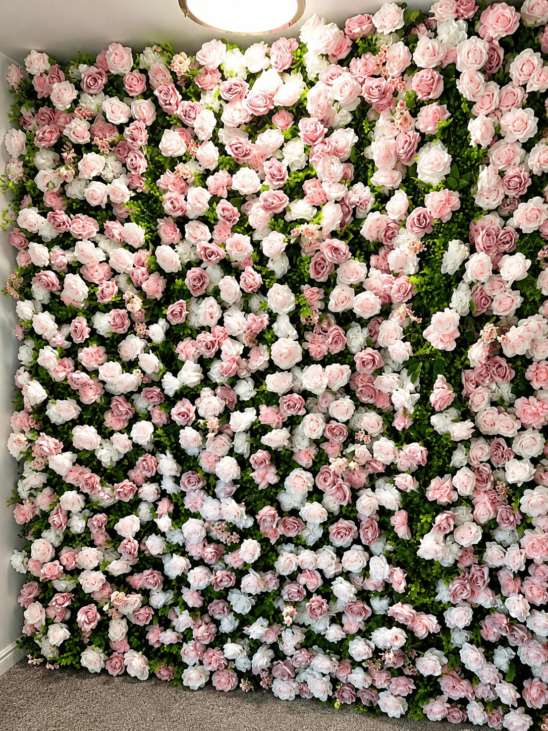 Pink rose flower wall backdrop available for rental in the Marysville, WA area